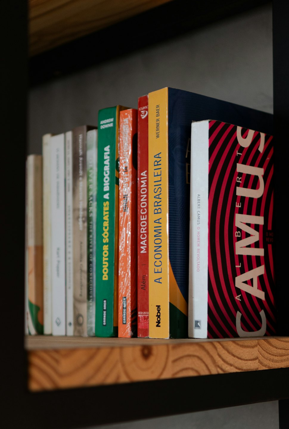 Colorful academic books sit neatly on a wooden shelf.